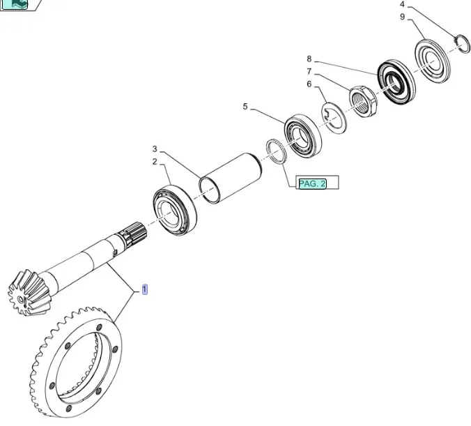 87668856 - главная пара