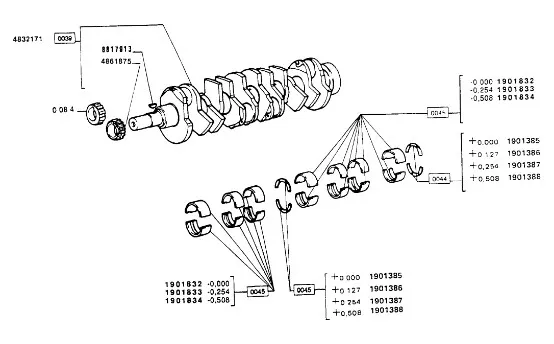 4861875 - Ведущая